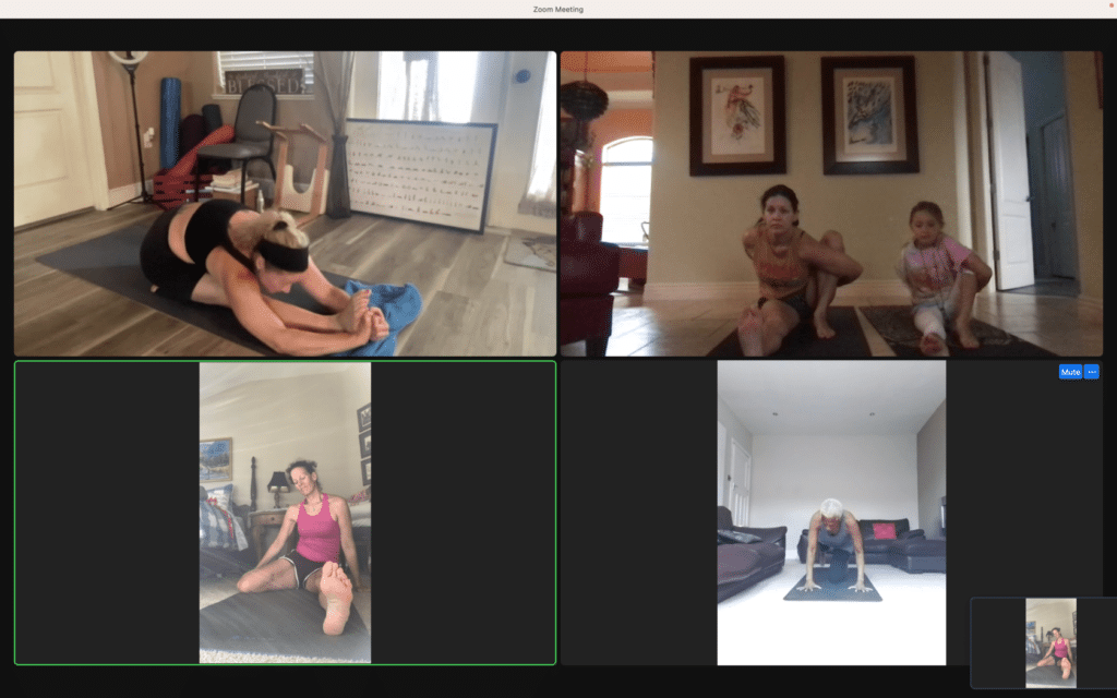 virtual, live stream, yoga classes at the yoga shala