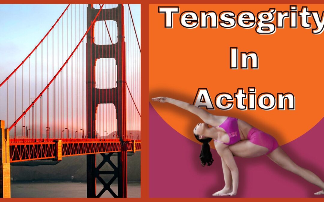 Tensegrity is the concept of oppositions of forces to create stability in a structure. We use this concept to explore our yoga practice.